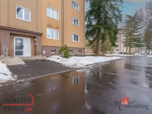 Pronájem bytu 2+1, Sokolov, Karla Čapka, 57 m2