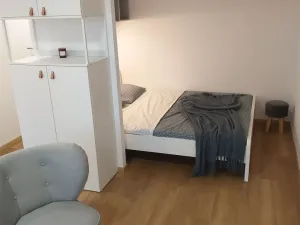 Prodej bytu 1+kk, Pardubice - Zelené Předměstí, Palackého třída, 38 m2