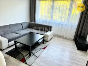 Pronájem bytu 2+1, Paskov, Papírenská, 46 m2