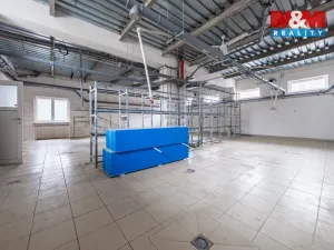 Prodej rodinného domu, Příbram - Příbram VI-Březové Hory, K Podlesí, 326 m2