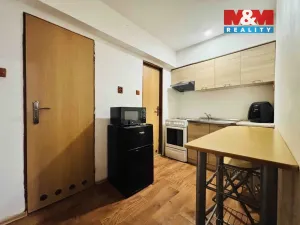 Prodej bytu 1+1, Dešná, 26 m2