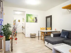 Prodej bytu 2+kk, Plzeň, U Velkého rybníka, 58 m2