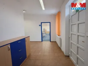 Pronájem obchodního prostoru, Teplice, Dubská, 460 m2