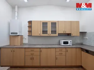 Pronájem obchodního prostoru, Teplice, Dubská, 460 m2