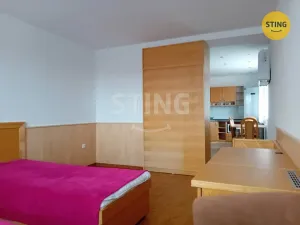 Pronájem bytu 1+1, Svratka, Nad Školou, 41 m2