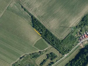 Prodej sadu/vinice, Bulhary, 63228 m2