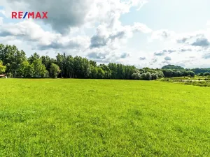 Prodej komerčního pozemku, Nová Pec, 9752 m2