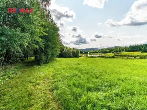 Prodej komerčního pozemku, Nová Pec, 9752 m2