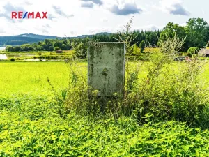 Prodej komerčního pozemku, Nová Pec, 9752 m2