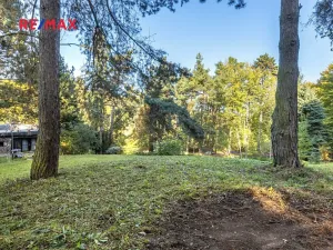 Prodej lesa, Praha - Malá Chuchle, 17570 m2