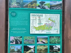 Prodej pozemku pro bydlení, Děčín, 1057 m2