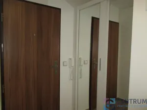 Pronájem bytu 1+kk, Jablonec nad Nisou, Palackého, 20 m2