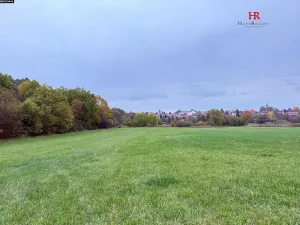 Prodej pozemku, Neveklov, 10516 m2