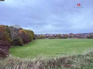 Prodej pozemku, Neveklov, 10516 m2