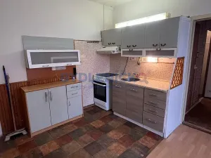 Prodej bytu 1+1, České Budějovice, K. Chocholy, 44 m2