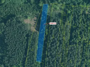 Dražba lesa, Hosty, 1942 m2