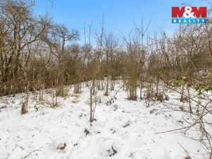 Prodej chaty, Černolice, Mezi zahrádkami, 80 m2