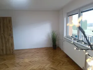 Pronájem bytu 2+1, Vranová, 85 m2