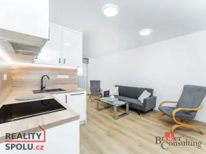 Pronájem bytu 3+kk, Praha - Libeň, Sokolovská, 44 m2