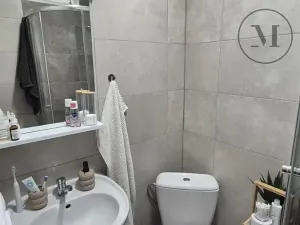 Pronájem bytu 1+kk, České Budějovice, Reinerova, 18 m2