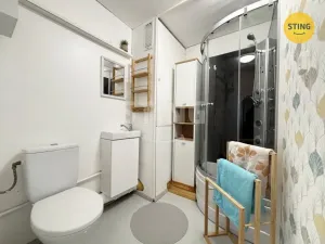 Pronájem bytu 1+1, Žďár nad Sázavou, Haškova, 32 m2