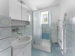 Prodej vícegeneračního domu, Kamýk nad Vltavou, 320 m2