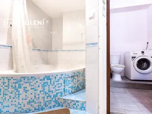 Prodej bytu 2+1, Ústí nad Labem, Střekovské nábřeží, 60 m2