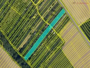 Prodej zahrady, Kunovice, Pod Kostelem, 3859 m2