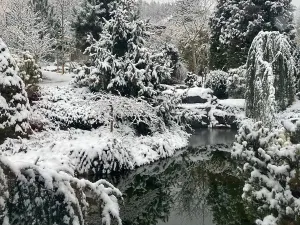 Prodej rodinného domu, Nový Jáchymov, 200 m2