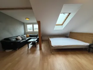 Pronájem bytu 1+1, Brno, Jircháře, 49 m2