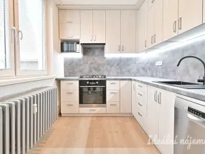 Pronájem bytu 1+1, Vyškov - Vyškov-Předměstí, Trpínky, 41 m2