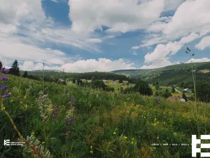 Prodej bytu 5+kk, Pec pod Sněžkou, 135 m2