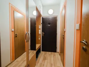 Prodej bytu 2+kk, Brno, Svážná, 47 m2