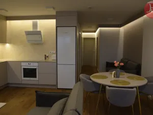 Pronájem bytu 2+kk, Soběšovice, 57 m2