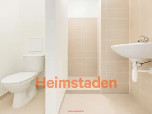 Pronájem bytu 1+kk, Stonava, Hořany, 21 m2