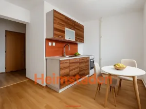 Pronájem bytu 1+1, Orlová - Poruba, Hornická, 33 m2