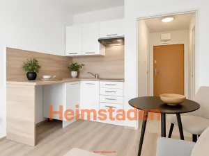 Pronájem bytu 1+kk, Havířov - Město, Marušky Kudeříkové, 22 m2