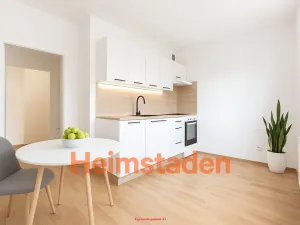 Pronájem bytu 1+1, Havířov - Město, Moskevská, 31 m2