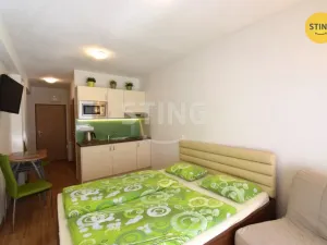 Pronájem bytu 1+kk, Všemina, 24 m2