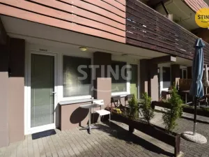 Pronájem bytu 1+kk, Všemina, 24 m2