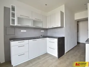 Pronájem bytu 3+1, Brno - Veveří, 69 m2