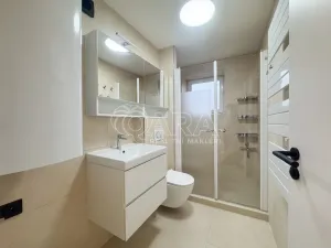 Pronájem bytu 2+1, České Budějovice - České Budějovice 3, Nerudova, 48 m2