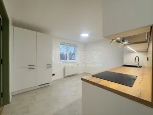 Pronájem bytu 2+1, České Budějovice - České Budějovice 3, Nerudova, 48 m2