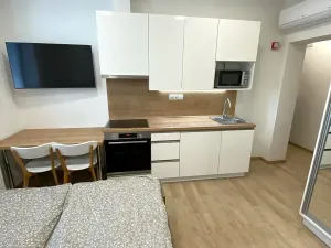 Pronájem bytu 1+kk, Zlín, Štefánikova, 30 m2