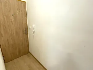 Pronájem bytu 1+kk, Zlín, Štefánikova, 30 m2