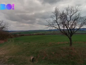 Prodej pole, Troubky-Zdislavice - Troubky, 5195 m2