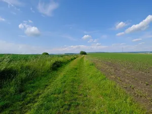 Prodej zahrady, Uherský Brod, 2032 m2