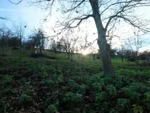 Prodej pozemku pro bydlení, Šumice, 2544 m2