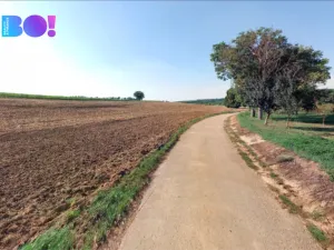 Prodej pole, Josefov, 9970 m2