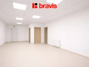 Pronájem obchodního prostoru, Kobylnice, U Řempa, 230 m2